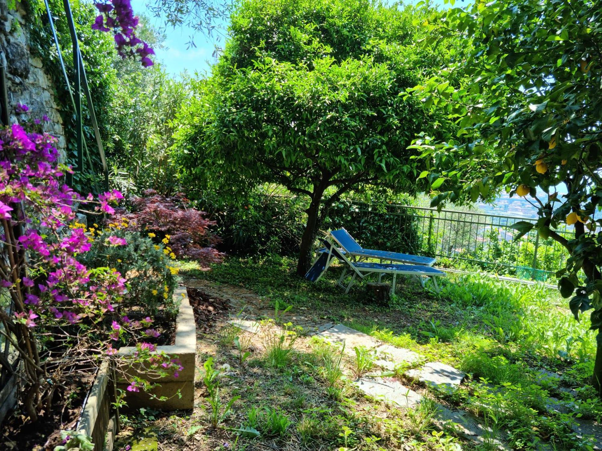 B&B La Terrazza Sui Fieschi Cogorno Экстерьер фото