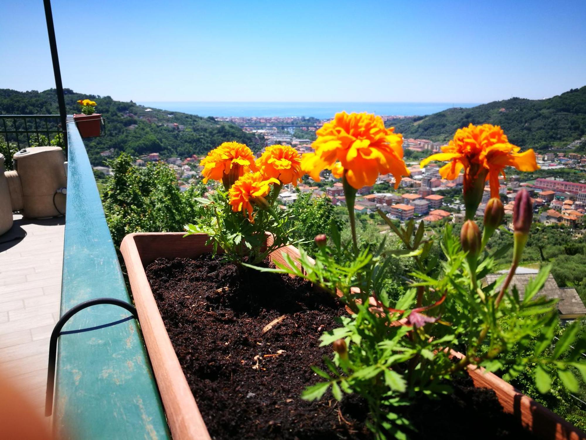 B&B La Terrazza Sui Fieschi Cogorno Экстерьер фото